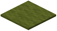 Olive Green Carpet