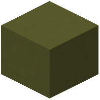 Olive Green Terracotta
