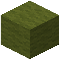 Olive Green Wool