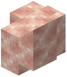 Pink Rock Salt Wall