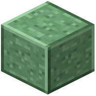 Polished Chlorite