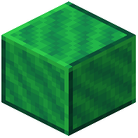 Polished Jade