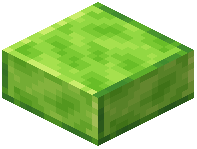 Polished Lime Limestone Slab