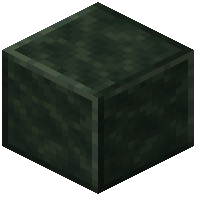 Polished Soapstone