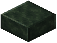 Polished Soapstone Slab