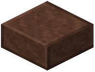 Polished Walnut Slab
