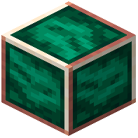 Rose Gold Trimmed Polished Green Marble