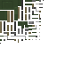 Detonator