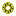 Saru Disk