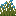 Wild Flax