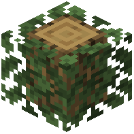 Avocado Leaves Logged