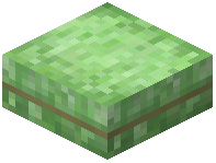 Quality Bale Slab