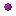 Magenta Rosette