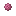 Pink Rosette