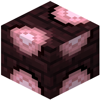 Decoration/Roundels/Misc/Nether Bricks Offset
