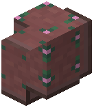 Pink Vine Spring Tile Wall