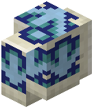 Sandy Shell Tile Wall