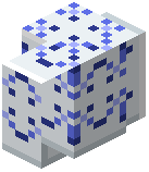 White Azulejo Shell Tile Wall