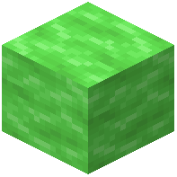 Congealed Slime Block