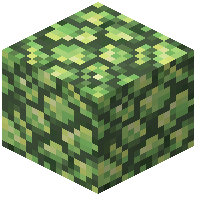 Block of Raw Uranium