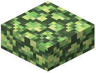 Raw Uranium Slab