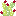 Prickly Pear Cactus