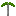 Coconut Sapling