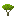 Lemon Sapling