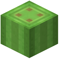 Lime Concrete Column