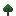 Mulberry Sapling