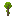 Orange Sapling