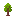 Peach Sapling