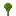 Pear Sapling