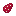 Prickly Pear