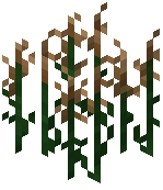 Cattail