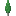 Cypress Sapling