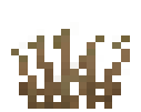 Dead Grass