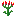 Indian Paintbrush