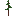 Redwood Sapling