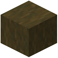 Stripped Willow Wood