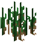 Tall Cattail