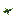 Moss