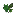 Zucchini