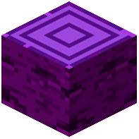 Meriter Log