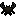 Mud Crab