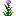 Thistle