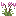 Shooting Star Flower