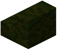 Cobbled Deep Roots Stairs