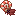 Fried Nautilus