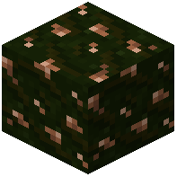 Deep Roots Rarot Ore